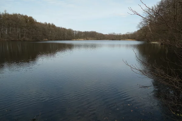 Ein Foto vom Teich an der Lohmühle