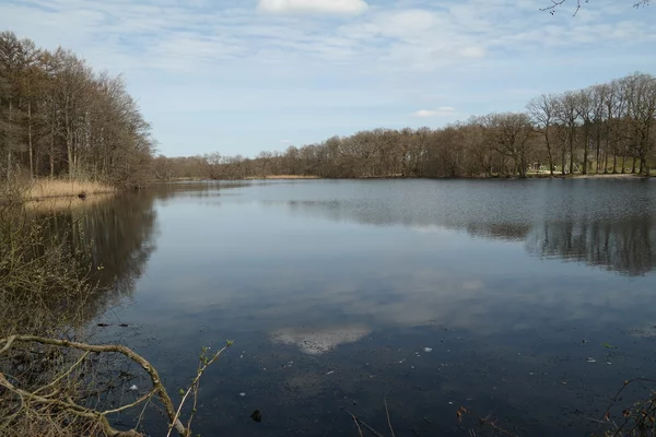 Ein Foto vom Teich an der Lohmühle