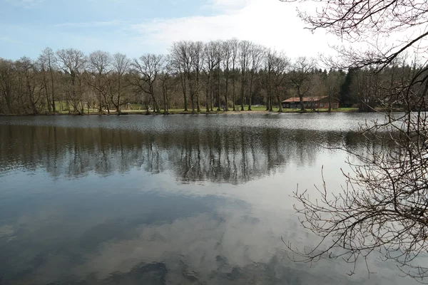 Ein Foto vom Teich an der Lohmühle